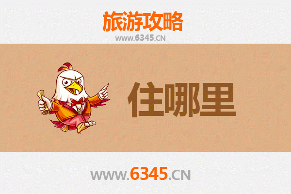东莞万江街道旅游民宿全攻略：水乡风情与悠闲之旅